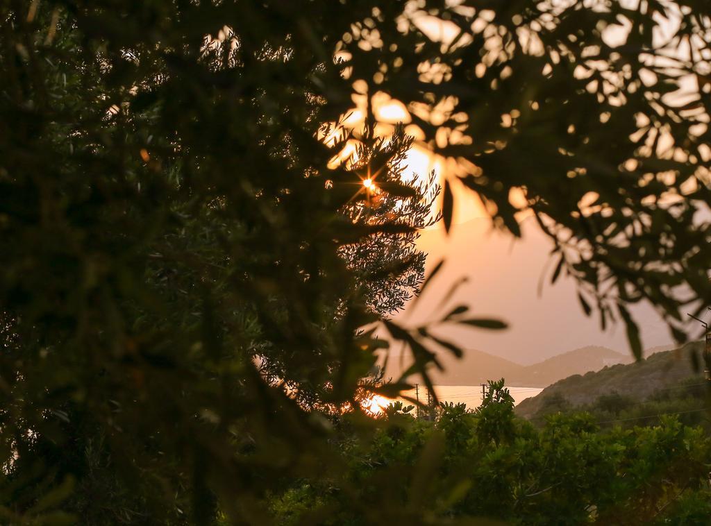 Kaktus Cakil Villa Kas Bagian luar foto