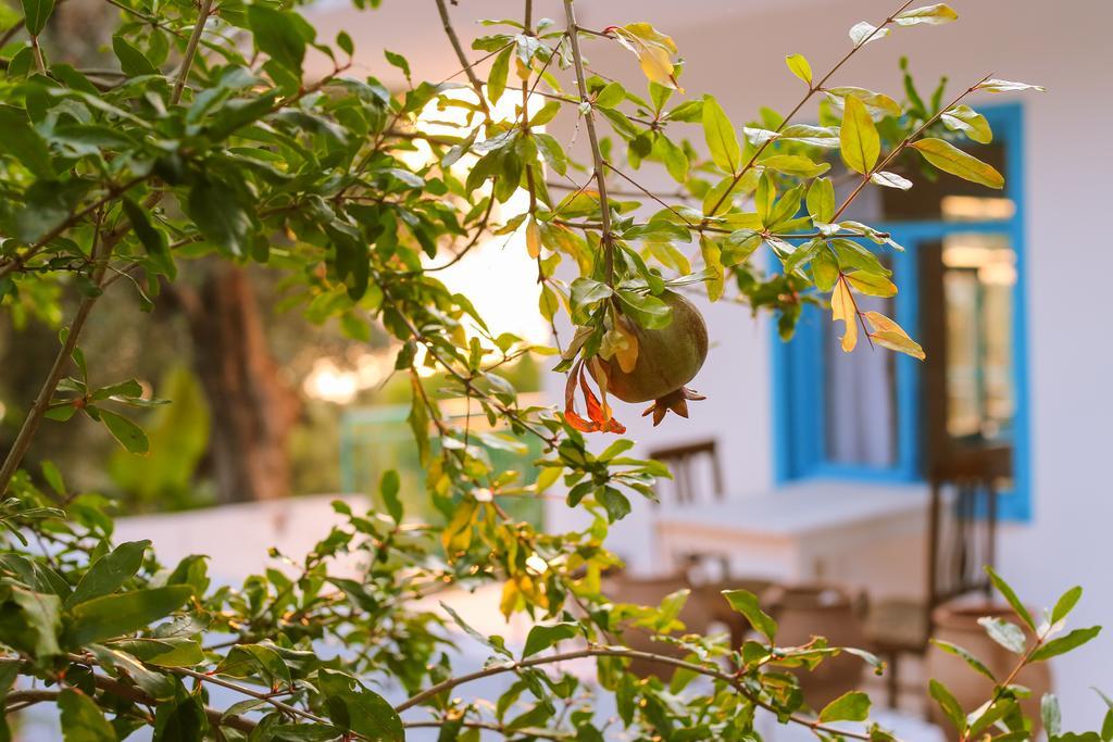 Kaktus Cakil Villa Kas Bagian luar foto